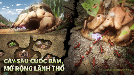 تحميل لعبة Ant Legion آخر إصدار 2023 مجانا للأندرويد 4