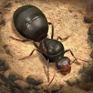 تنزيل لعبة مملكة النمل The Ants Underground Kingdom APK للاندرويد احدث اصدار !!