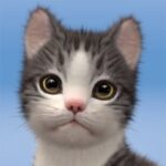 تحميل لعبة My Cat:Pet Game Simulator APK آخر إصدار للأندرويد