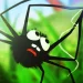 تنزيل لعبة Spider Trouble APK مهكرة للاندرويد من ميديافاير 2023